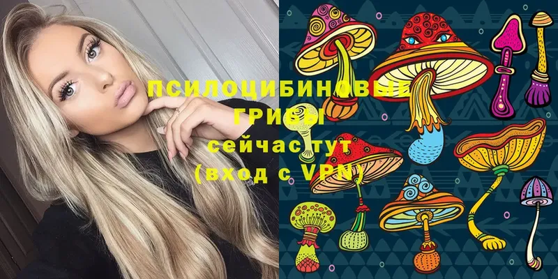 Галлюциногенные грибы Psilocybe  Невельск 